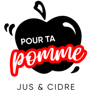 Jus de pomme pasteurisé 33cl