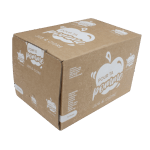 Jus de pomme pasteurisé 5L